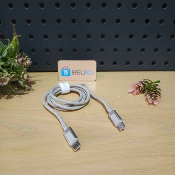 RZCC100 CtoC Kabel Data Robot